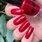 Лак для ногтей Grattol Color Nail Polish Business lady