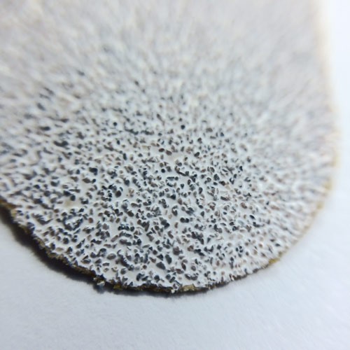 Grattol M сменные файлы 100 грит для пилки КОРОТКАЯ 130х18 мм, 12 шт.